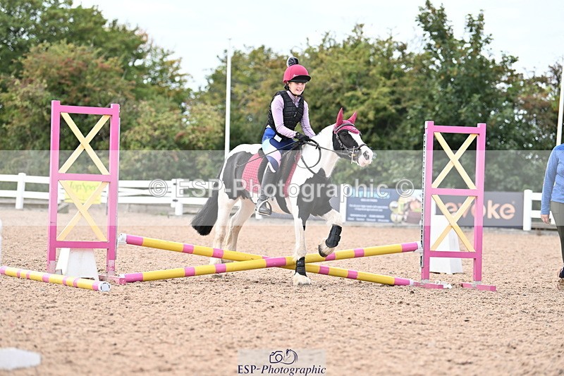 250821B-121616-00380 - Group D - Thomasina