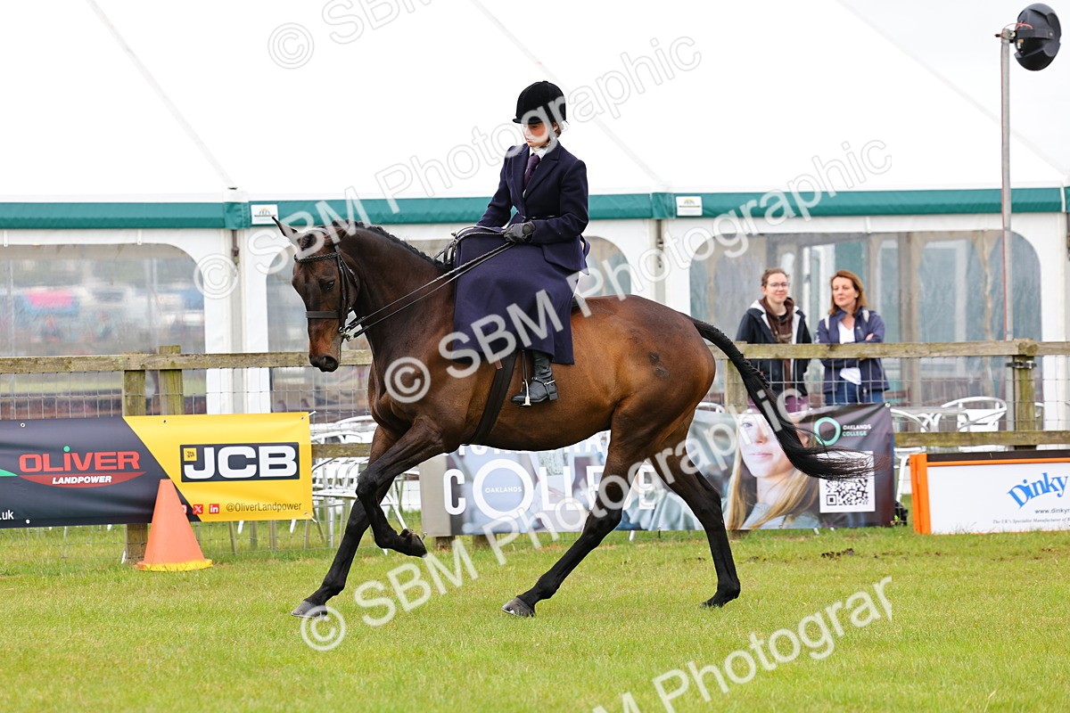 SBM_02823 - Class 9-11 Side Saddle including LIHS Rising Star Ladies Show Horse