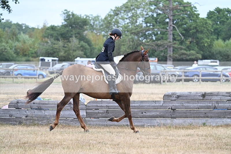WJ7_0872 - Class 7 Riding Club Show Horse