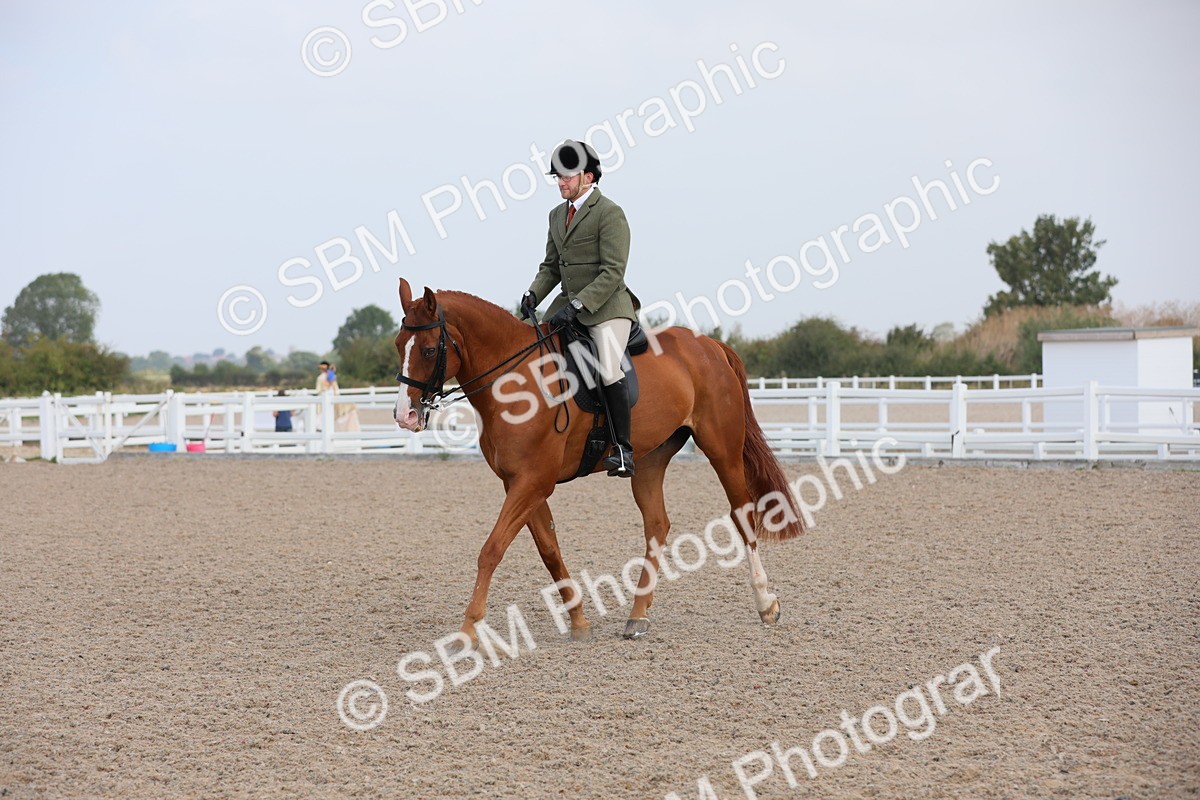 SBM_11436 - Class 305 Ridden Foreign Breeds- Pure Bred