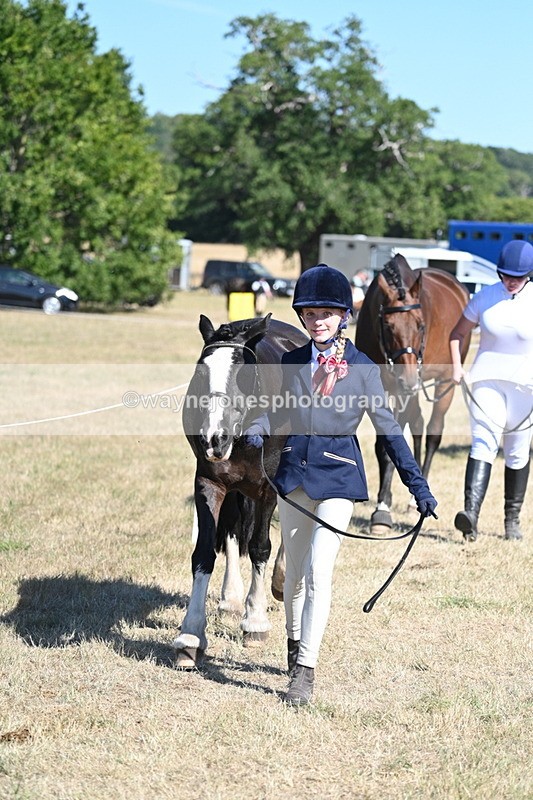 WJ7_1830 - Class 43 Best Six Legs (In hand)