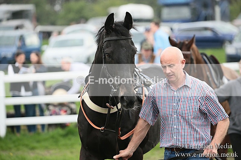 PtP 210418 142 - South & West Wilts Point-to-Point Larkhill 21/04/18