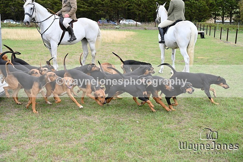 WJ7_0589 - Berks & Bucks Hound Exercise Blewbury 13-09-26