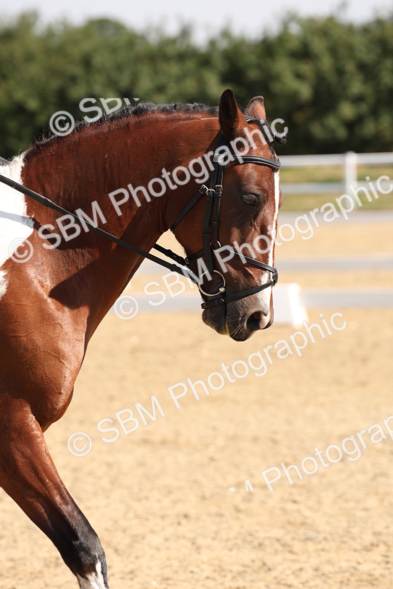 SBM_003403 - Prelim 4 - Warm Up