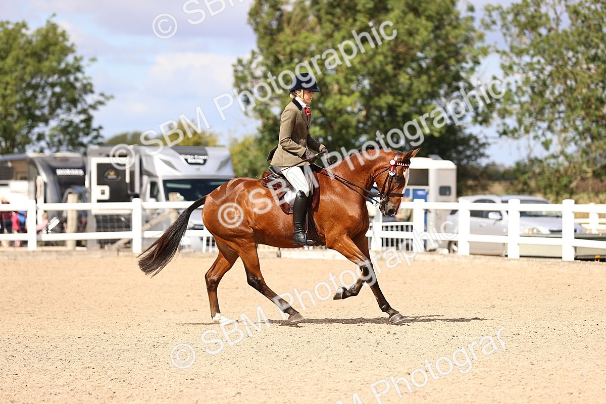 SBM_12920 - Class 410 - Grassroots Ridden - Horse