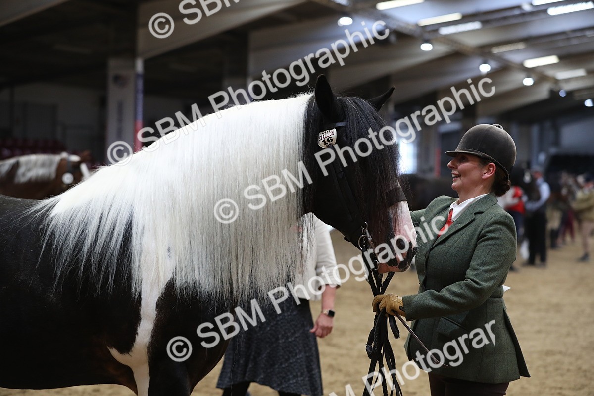 SBM_06427 - Class 9R Regional- IH Pre Vet