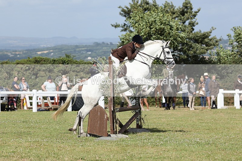 JPP_2570 - Class 20: Working Hunter 70cm