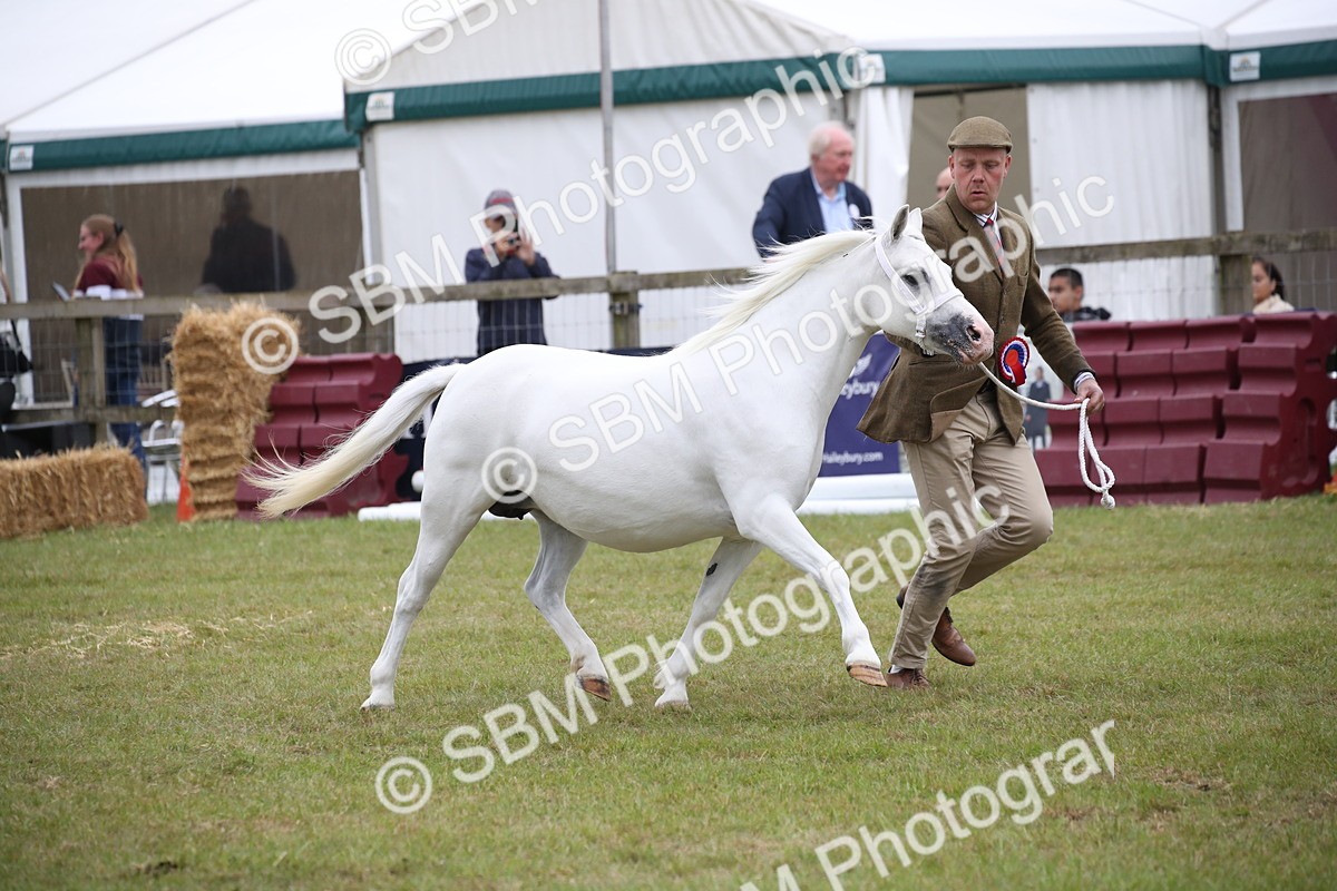 SBM_09836 - Ch 50 - Price Family Supreme In Hand