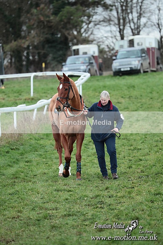PtP 141225  2437 - New Forest Hounds PtP Larkhill 14/12/25
