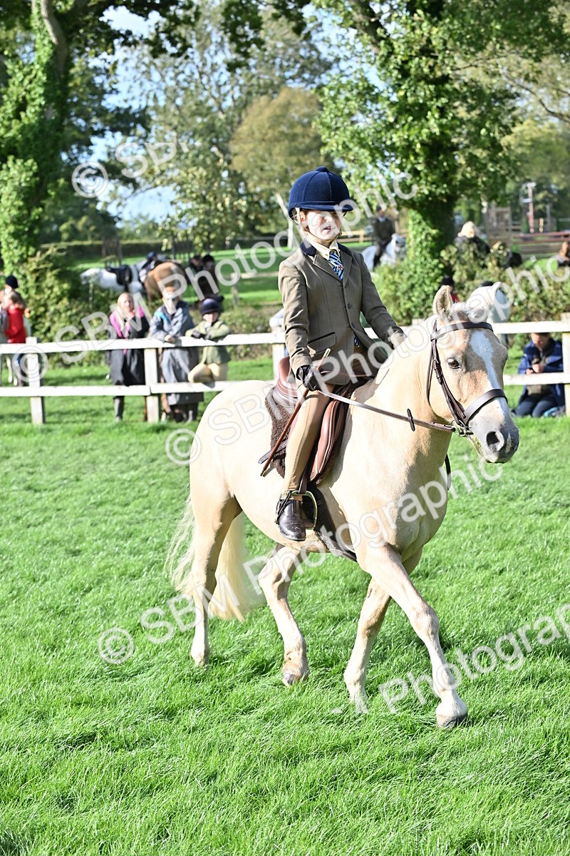 SBM_51259 - S22 - First Ridden show and show Hunter Pony