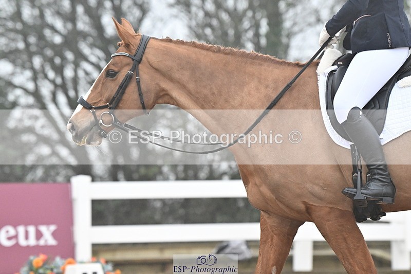 240217A-120733-02120 - 233-Samantha.Brown-Demelzas.Dream