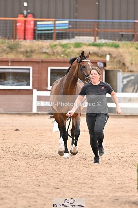 250716-155422-02266 - Trot Up 3.30 to 4.30