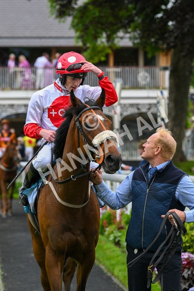 250524-Race 7-Feel The Need-4450 - Race 7 5.05pm Alf Duffield Memorial Handicap