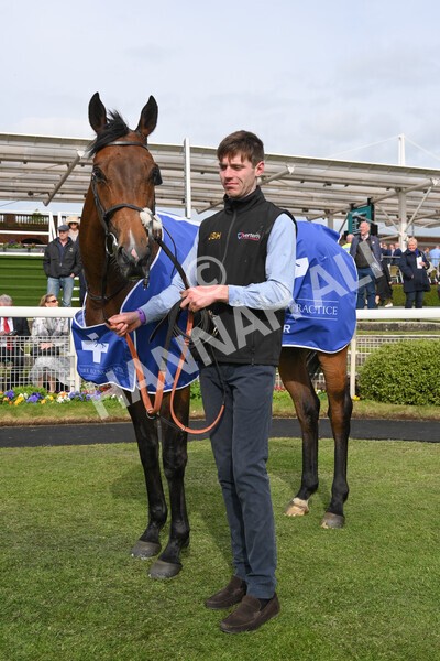 yr13052022r6-50 - Race 6 4.45pm Yorkshire Equine Practice Stakes
