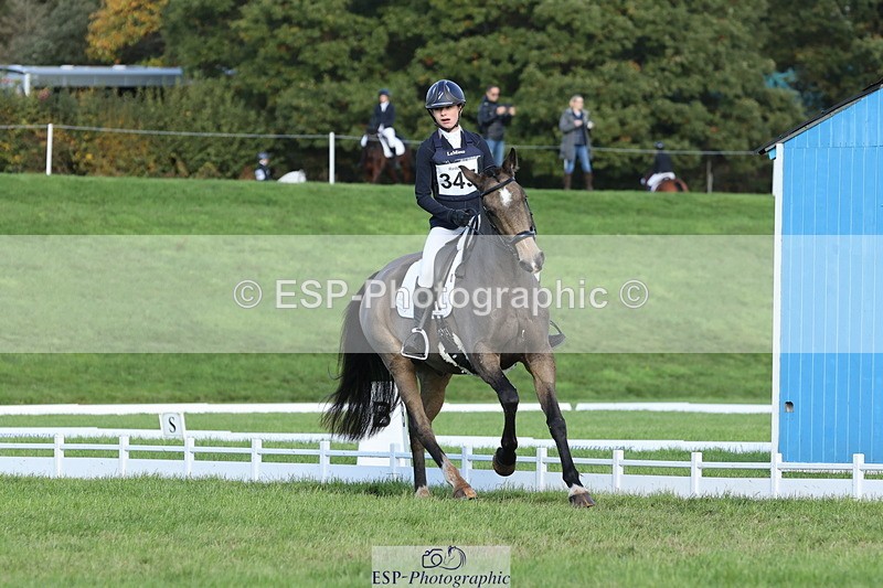 251024A-103033-07780 - D-345-Neve.Webber