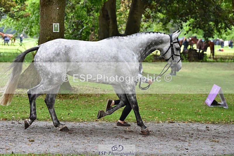 240522-165228-01222 - 226-CLONSHIRE_ON_TREND-Heidi_Coy