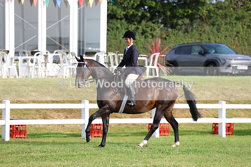 3E7A7733 - Class 1: Rising Star Small Hack/Riding Horses