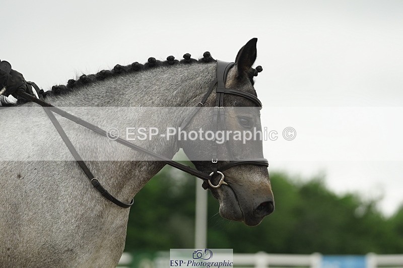 230708A-100900-00324 - Intro C