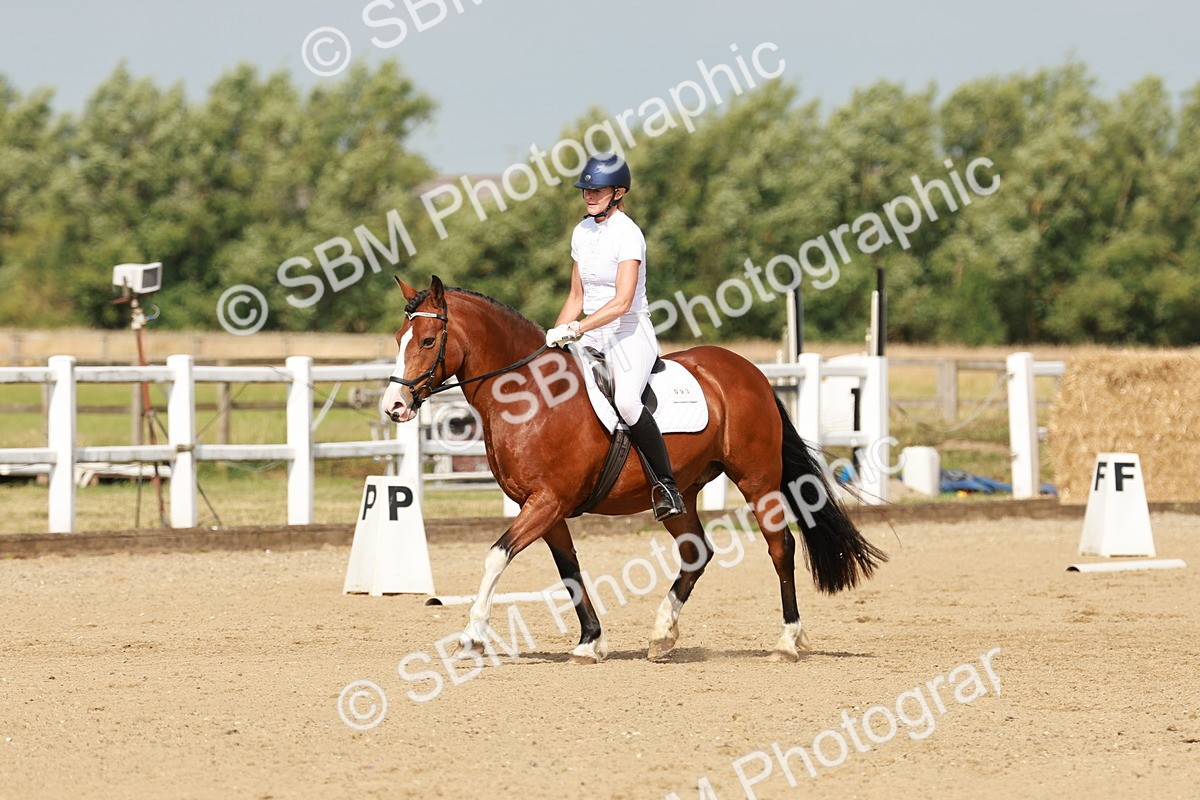 SBM_021345 - Class 13 - N5