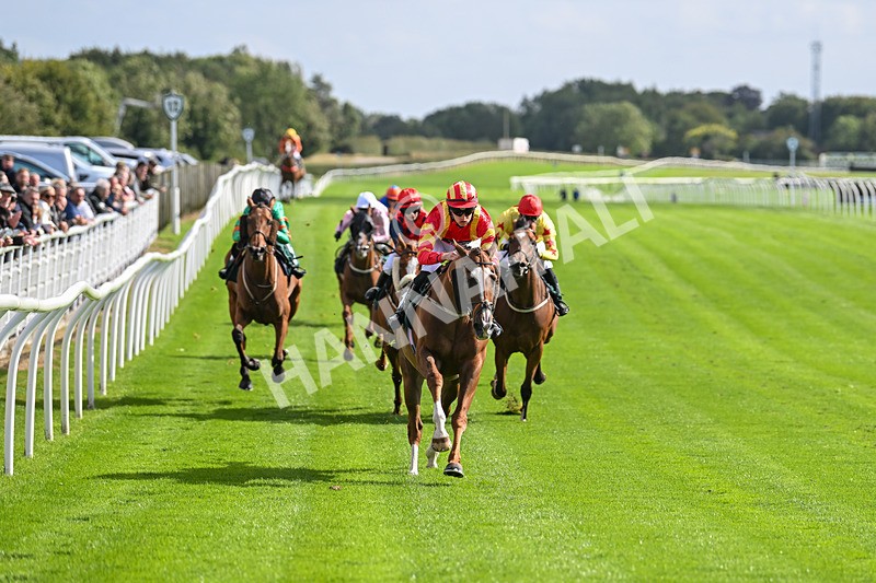 100924-Race 1-The Dancing Poet-9866 - Race 1