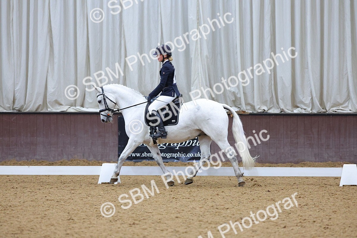 SBM_004162 - Intermediate