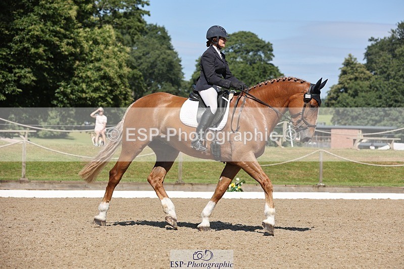 240719-103925-00760 - 223-Deborah_Randall-Sandy's_Bertie