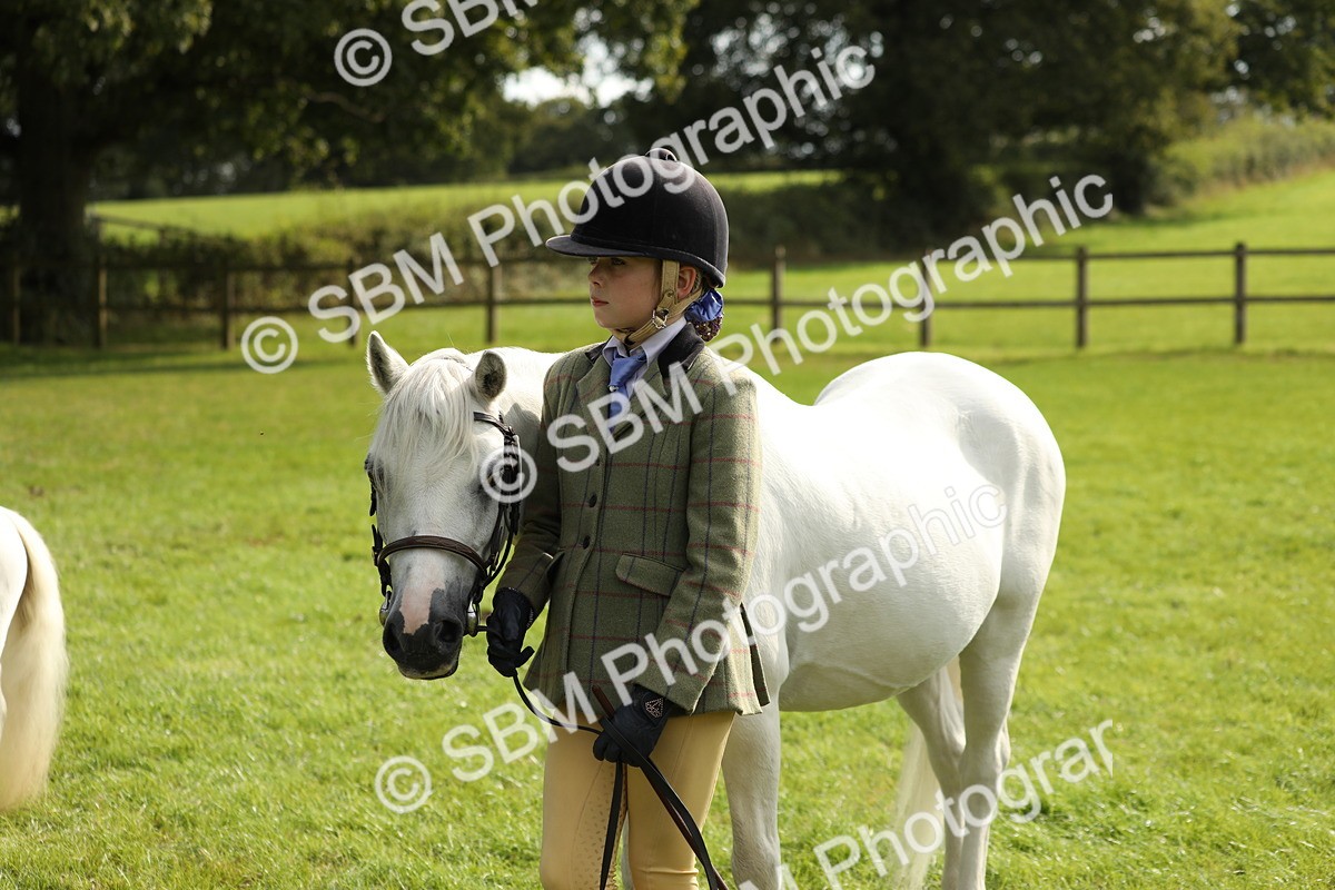 SBM_68549 - S40 - Junior Handler 9-12 Years