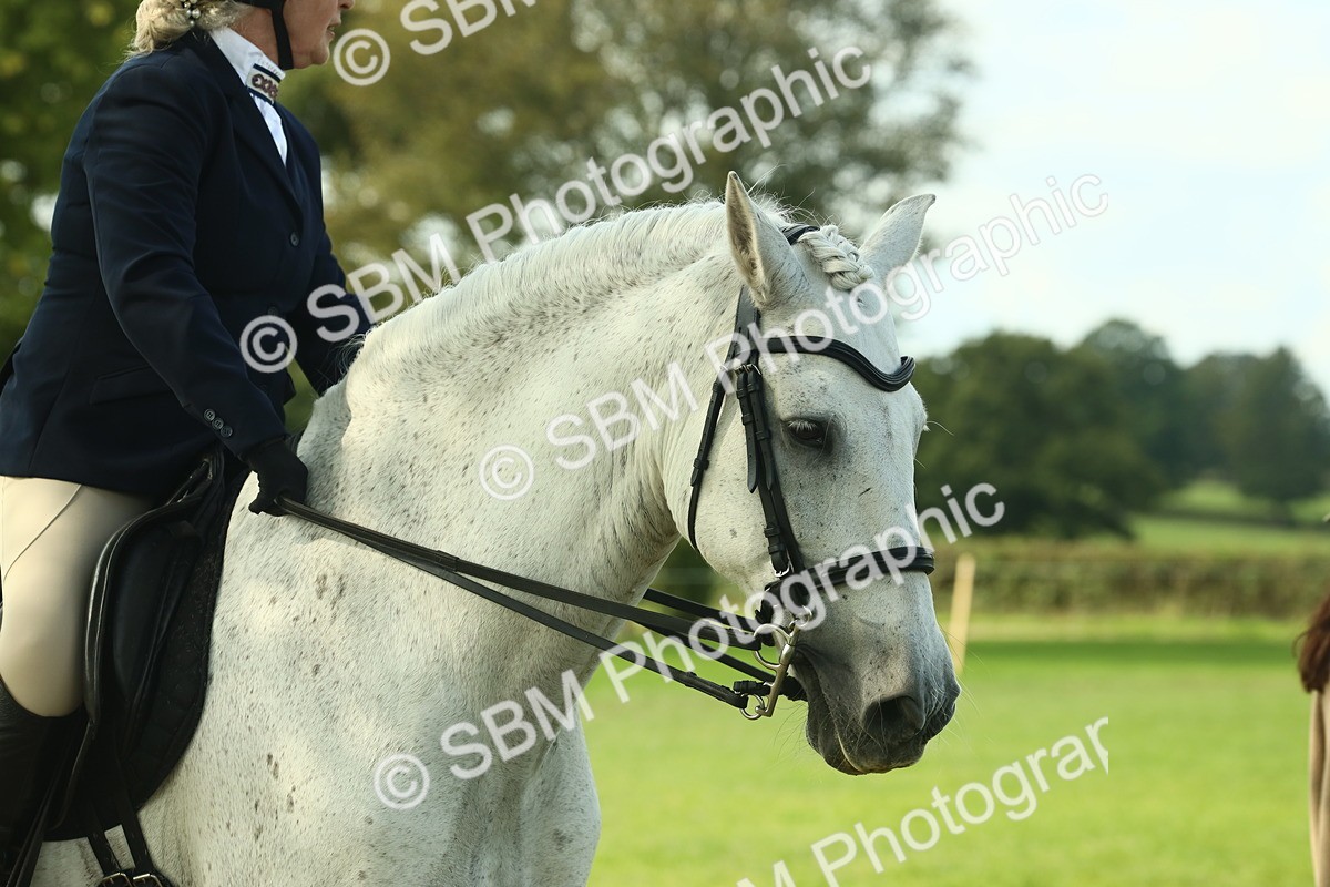 SBM_62437 - S62 - Foreign Breeds Ridden