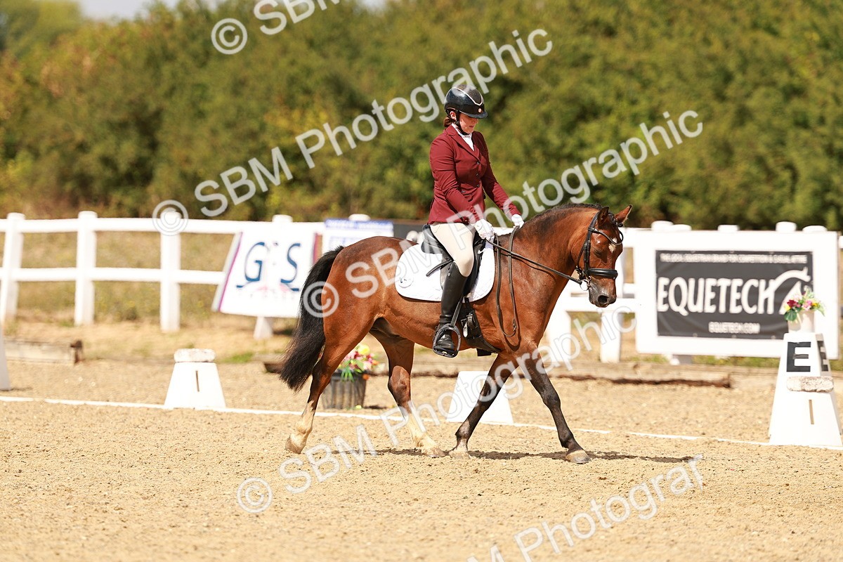 SBM_018642 - Class 9 - N5 Bronze 11.57.13.07