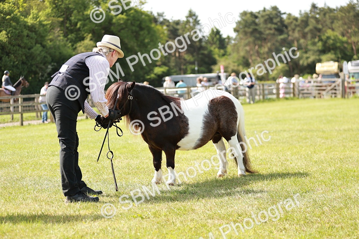 SBM_02010 - Class 14-23 - Mountain & Moorland In Hand Non Welsh
