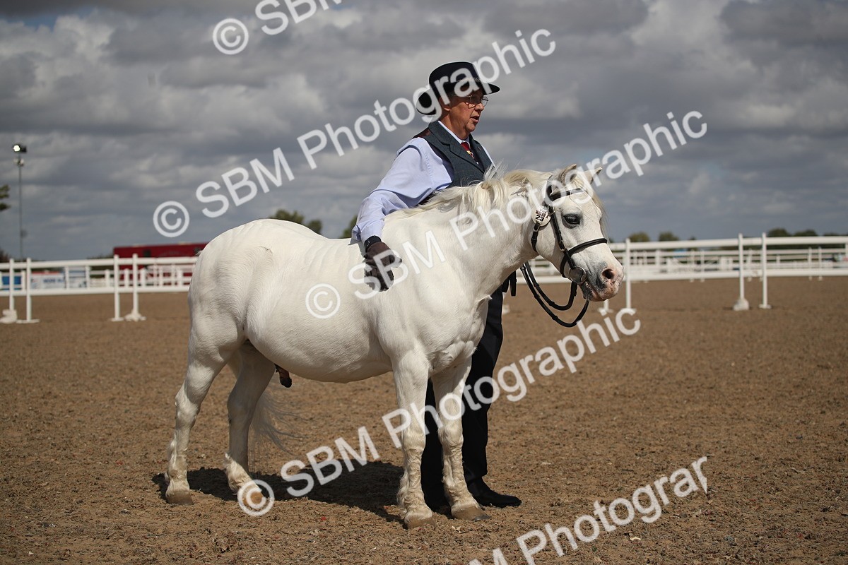 SBM_23550 - Class 605 - 2026 - Area - IH Veteran