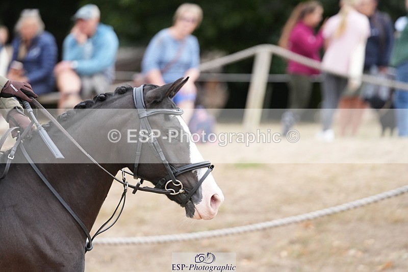 250820A-122052-06274 - Round 2, 11.45 to 12.30 End