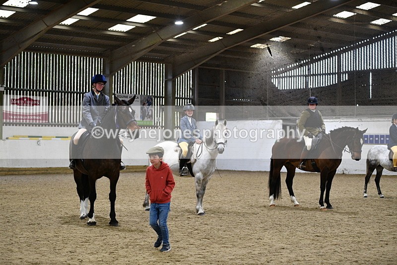 WJ5_8096 - Class 13 Ridden Part Breed