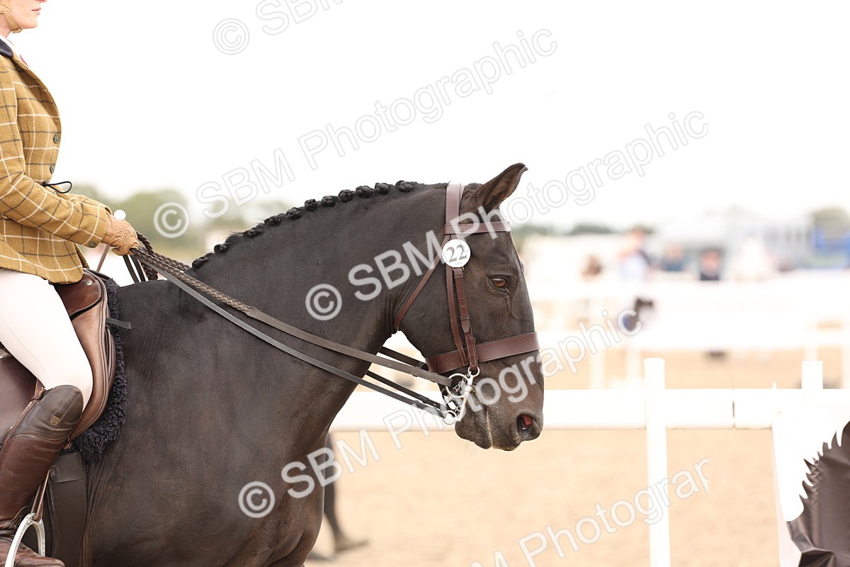 SBM_16464 - Class 212 - Ridden Hunter - Small