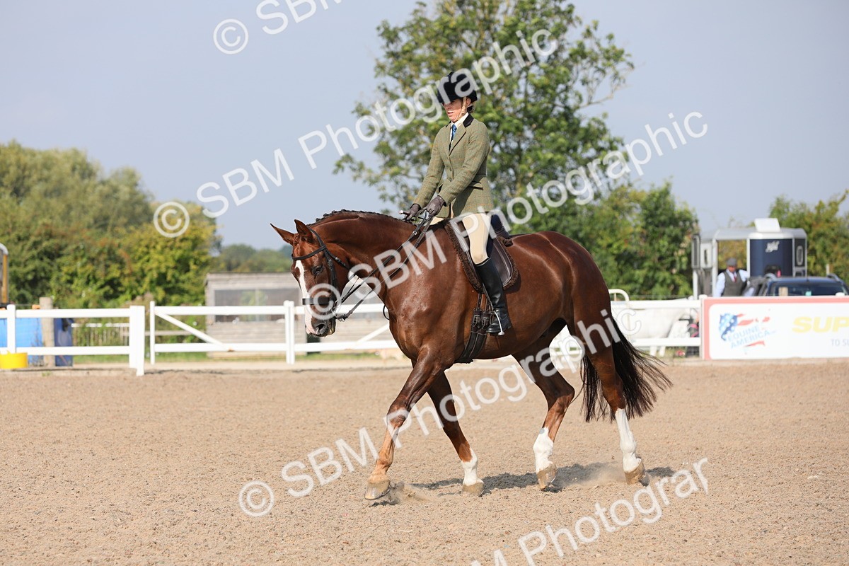 SBM_11368 - Class 305 Ridden Foreign Breeds- Pure Bred