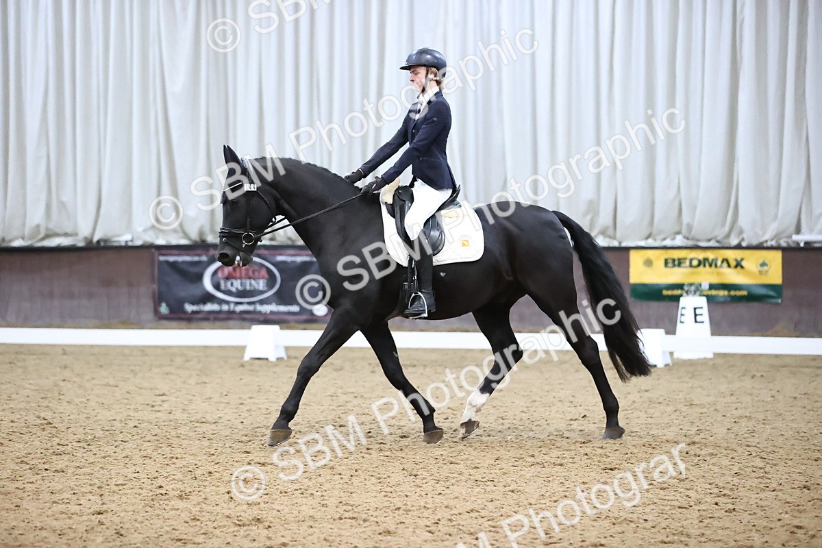 SBM_004329 - Intermediate