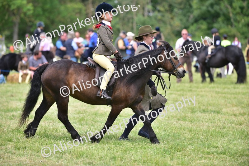 20260614-1271 - Class 11a - Lead Rein Pony (Unplaited)