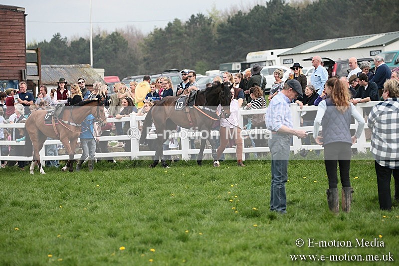 PtP 210418 174 - South & West Wilts Point-to-Point Larkhill 21/04/18