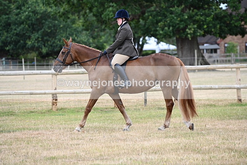 WJ6_3768 - Class 9 Tack & Turnout