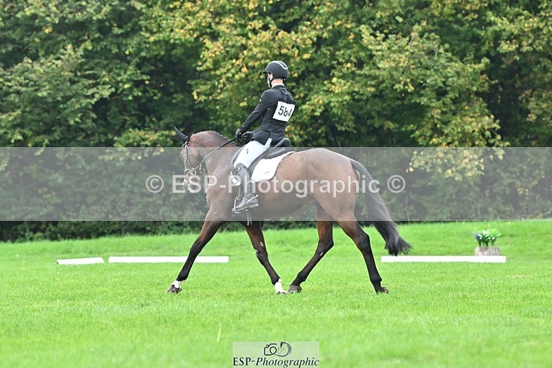 241024-144321-04348 - 584-Tommy.Greengard-I'M.ALL.IN