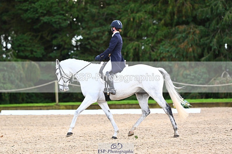 231021-160103-20994 - 262-GOOD.BOY.ALEX-Tara.Jefferies-DR