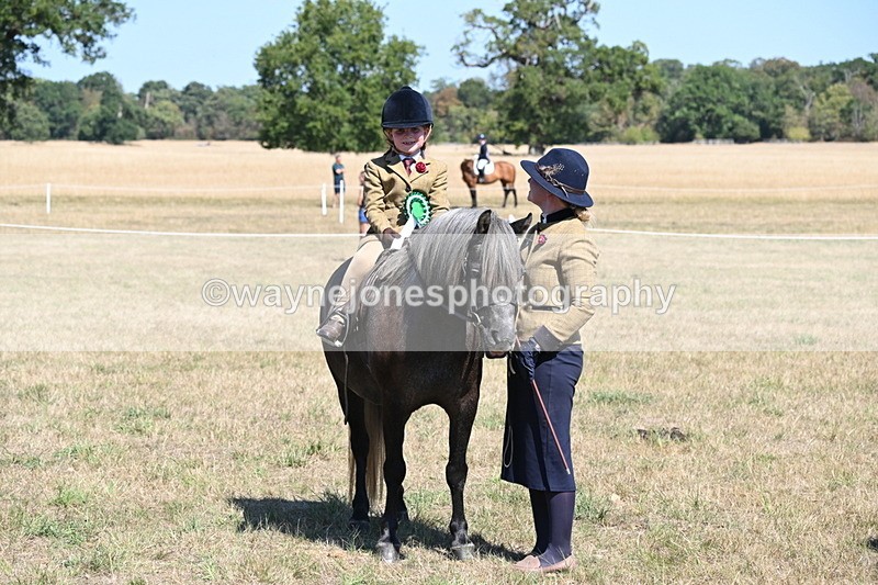 WJ6_8158 - Class 36 Lead Rein