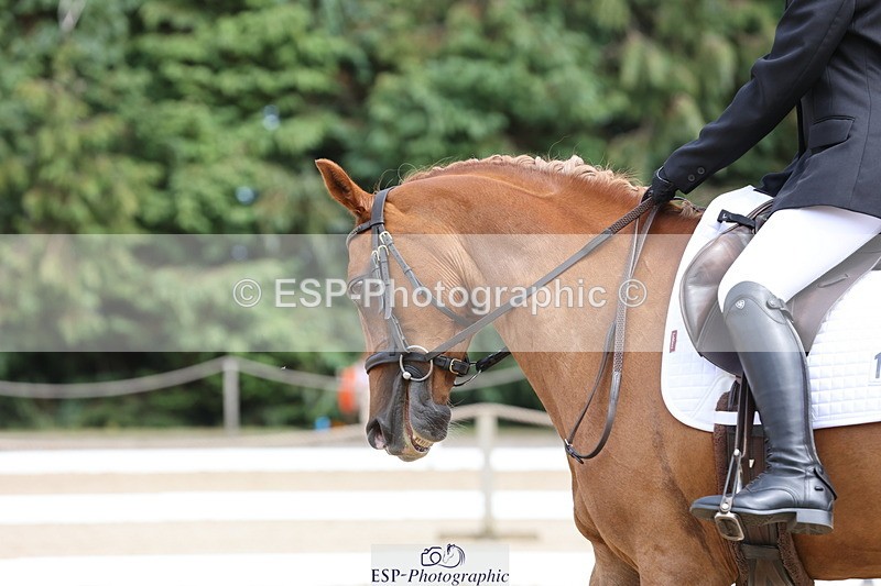 250718A-144910-02289 - 107-Beatrice.Coker-Brown-Portia.the.Fawn