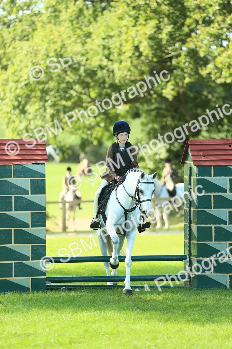 SBM_39210 - S29 - Novice & Newcomers Working Hunter Pony