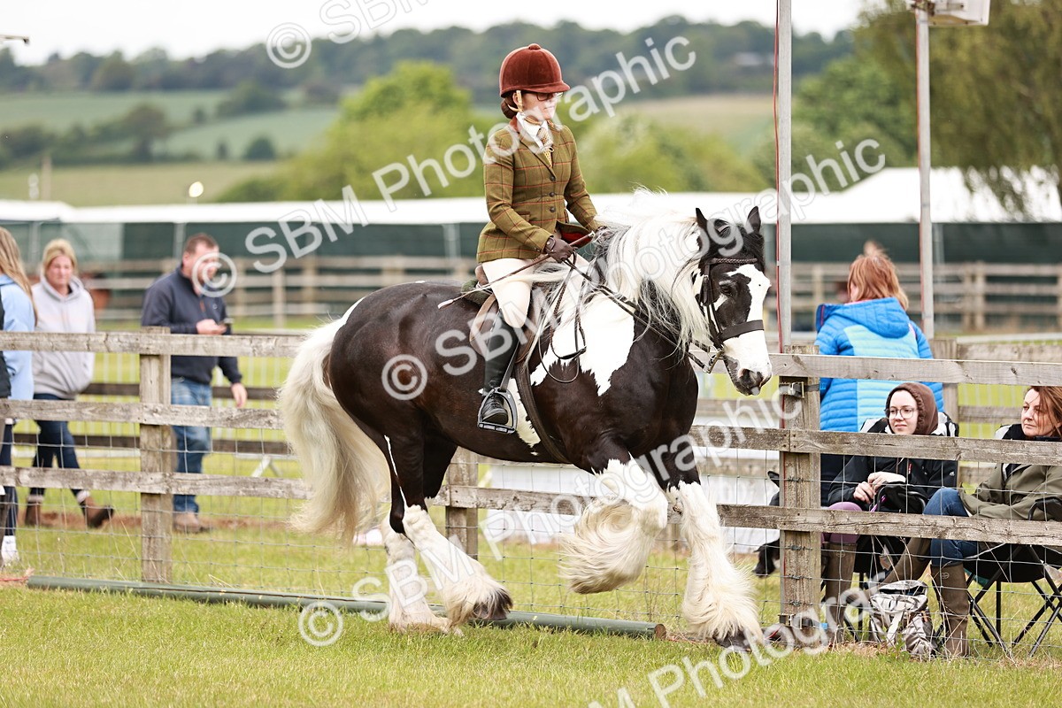SBM_06118 - Class 39-41 TGCA In Hand and Ridden