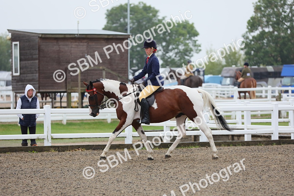 SBM_19893 - Class 801 - Ridden Veteran