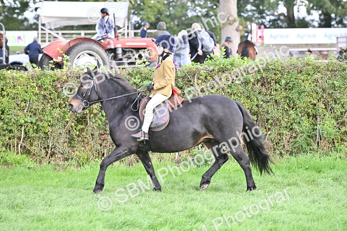SBM_48342 - S21 - Novice & Newcomers First Ridden