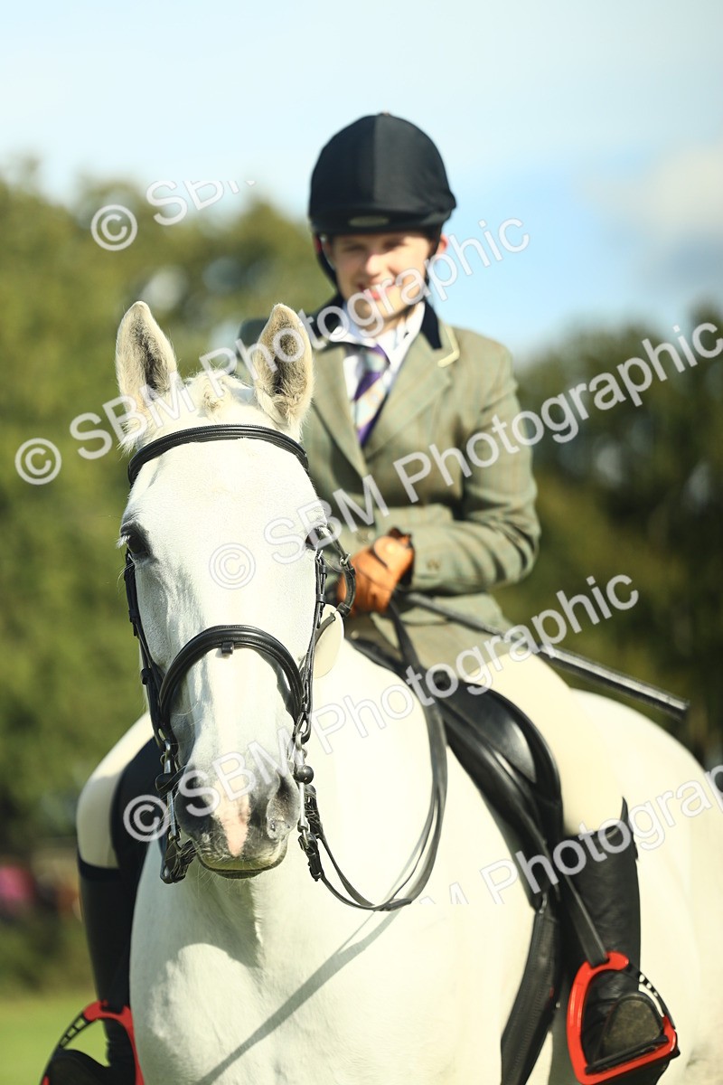 SBM_49889 - S32 - Novice & Newcomers Working Hunter