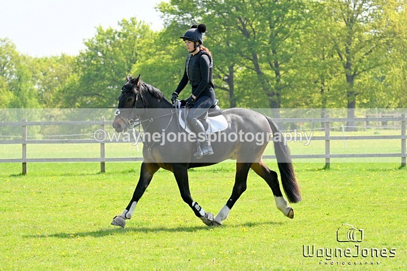 WJ7_6792 - The stables at Tweseldown 27-04-25