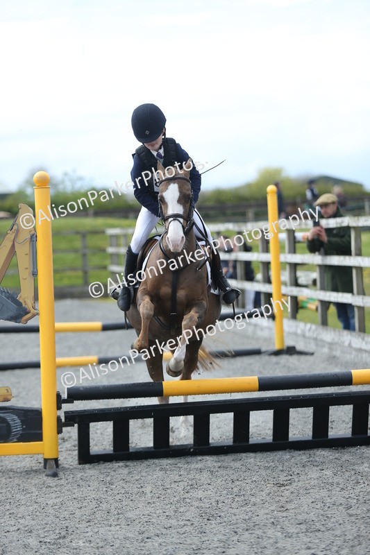 20260412-1736 - Show Jumping